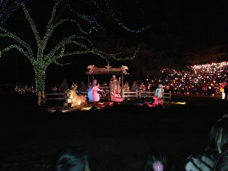 2012/12(Dec)/10(Before Christmas Fun)/800x600_2012-12-21 17 Trail of Lights.jpg